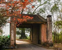 Phùng Hưng Đan Phượng - Taxi Trôi Phùng Lang co Duong Lam Phung