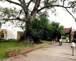 Khám phá những khu du lịch hấp dẫn tại Hoài Đức, Hà Nội - Taxi Trôi Phùng Lang co Duong Lam